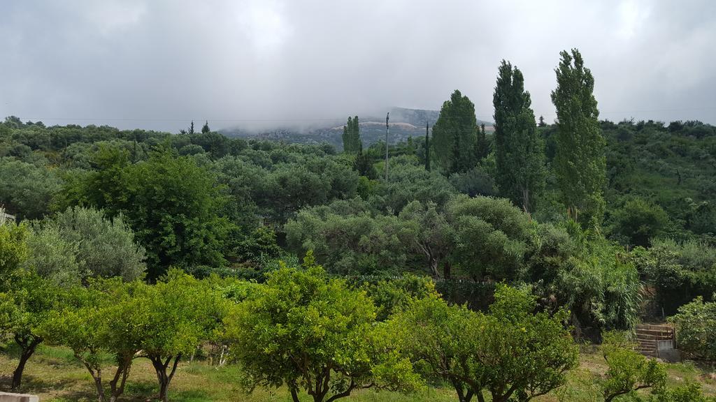 Residenca Juli Vlorë